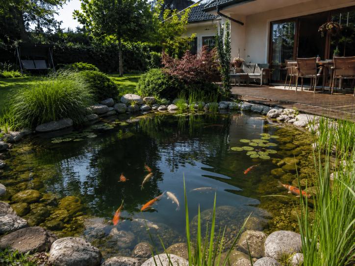 zout in koi vijver